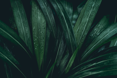 benefits of vegan skincare